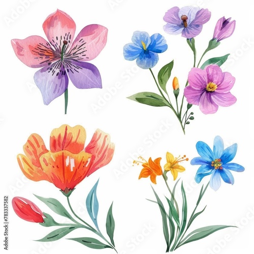 set of watercolor flowers