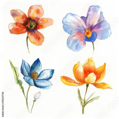 set of watercolor flowers