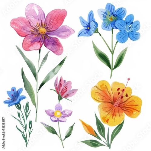 set of watercolor flowers