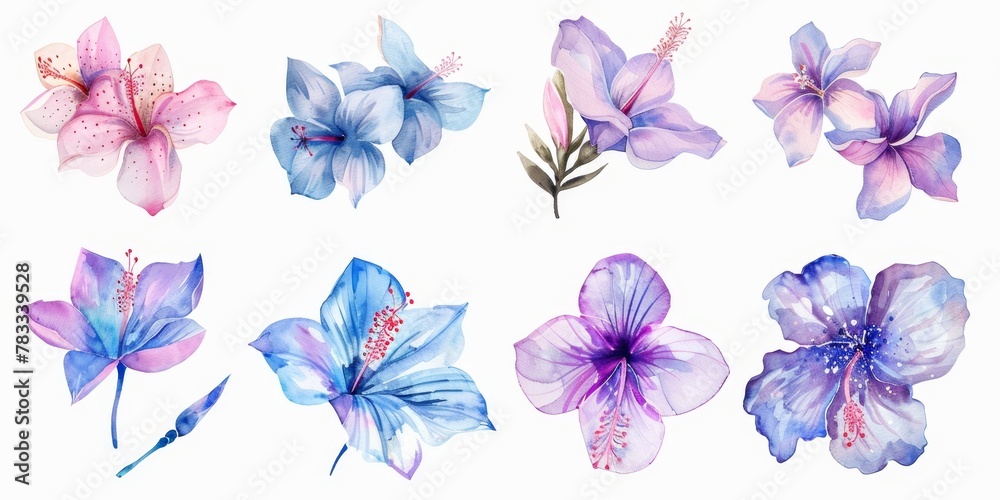 Fototapeta premium set of watercolor flowers