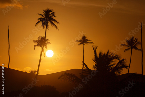 Sunset on Itacimirim beach in Bahia.