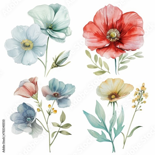 set of watercolor flowers © megavectors