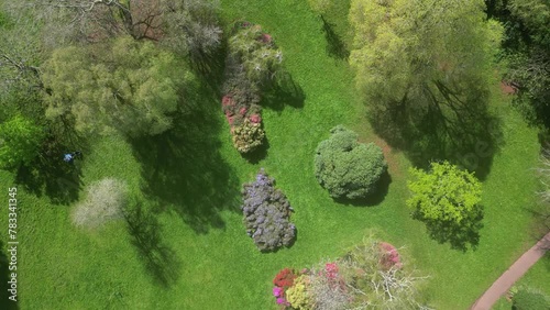 Cockington, Torbay, South Devon, England: DRONE VIEWS: A direct, overhead view of trees and azaleas in a park. Torbay is a popular UK holiday destination with many attractions including its parks. photo