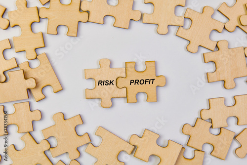 Puzzle pieces with word RISK PROFIT Business concept image