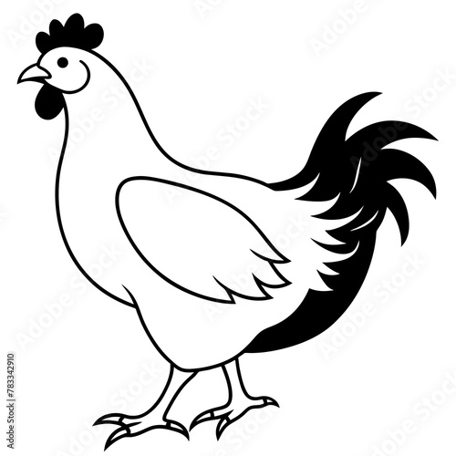 hen background vector illustration