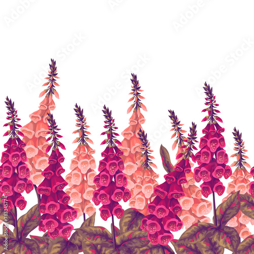 Border with foxglove flowers. Vector. © Yumeee