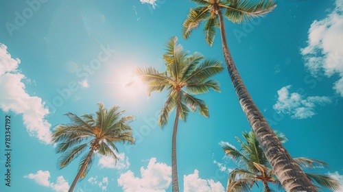 Sun-kissed coconut trees against cerulean sky evoke summer bliss,vibrant colors convey tropical paradise,photography captures natural beauty,evoking wanderlust