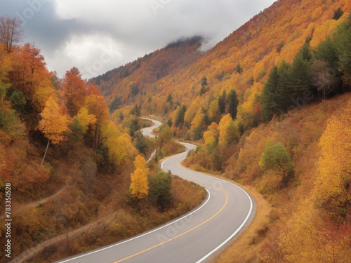 Autumn winding secondary road in the mountain forest