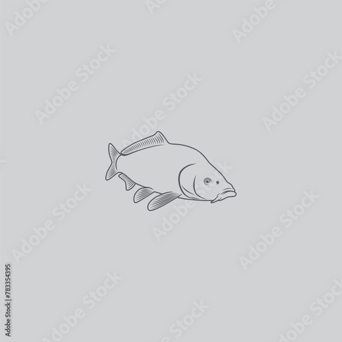 carp fishing image