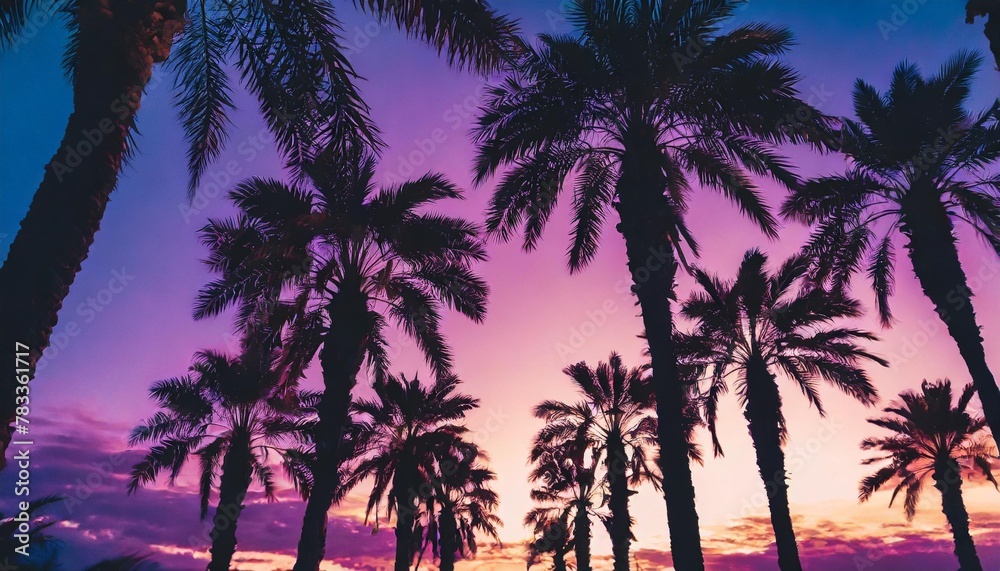 palm trees framed by purple and pink shades of sunset create an incredible sight