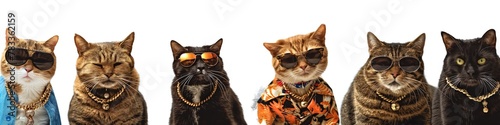 A group of gangster cats wearing sunglasses and accessories.