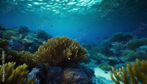 ocean coral reef underwater sea world under water background