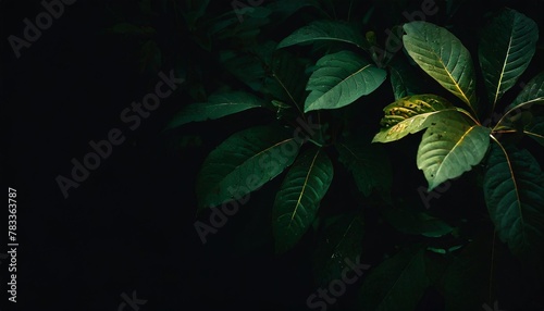 green leaves eco friendly background with copy space for text