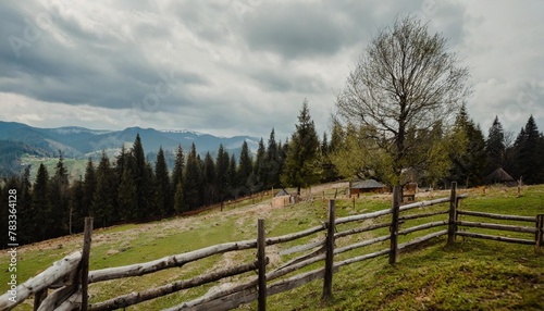 wooden fence near the trees on the grassy hill mountainous rural landscape of ukraine in spring carpathian countryside on an overcast day