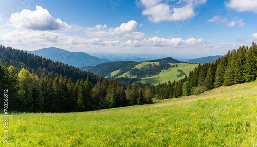 beautiful panorama of the pieniny mountains © Michelle