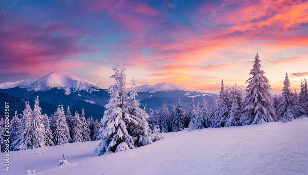 amazing sunrise in the mountains sunset winter landscape with snow covered pine trees in violet and pink colors fantastic colorful scene with picturesque dramatic sky christmas wintery background