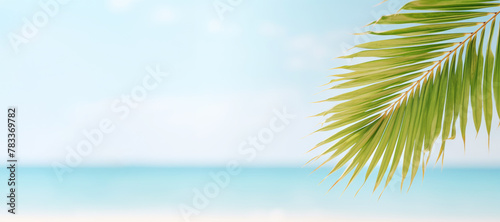 a palm tree leaf template on a light pastel beach, offering a calming nature-inspired background that complements the simplicity of the leaf's structure