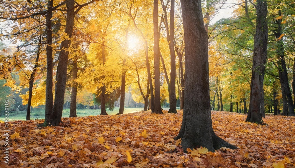 beautiful autumn landscape with yellow trees and sun colorful foliage in the park falling leaves natural background autumn season concept