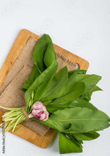 A bunch of wild garlic on a kitchen board on a light background, top view. Ramson.