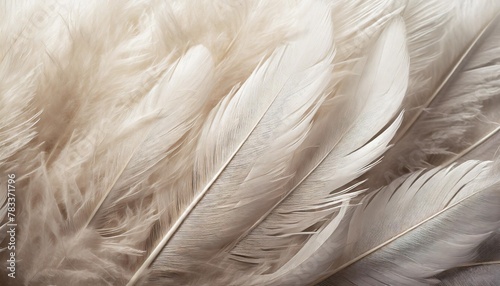 dense background of white feathers close up texture of white swan feather or angel wing flat lay bird plumage copy space high resolution generative ai human enhanced photo