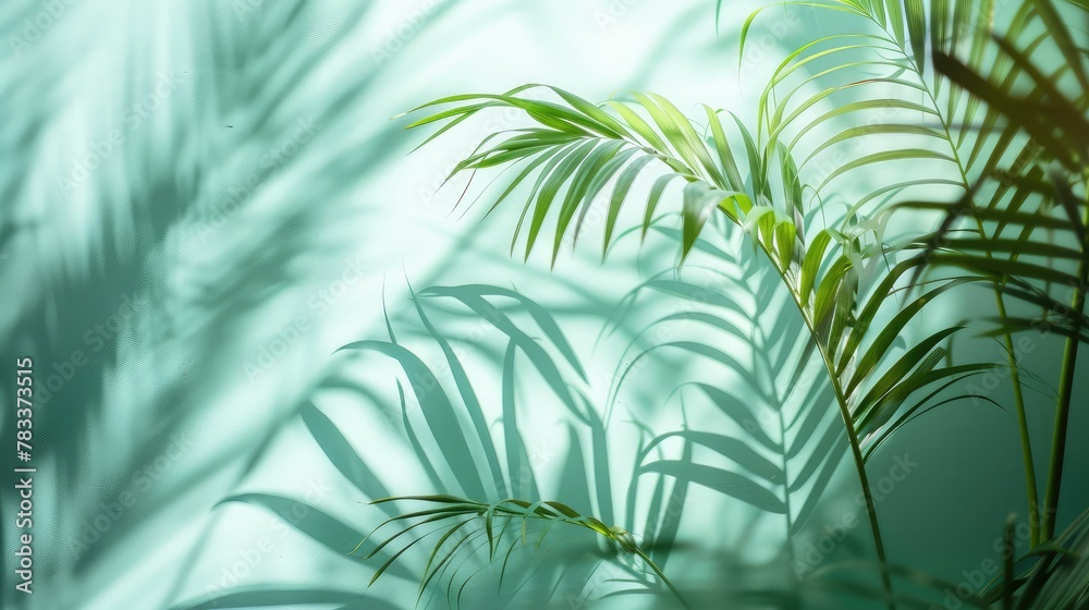 Blurred shadow from palm leaves on the light blue wall. Minimal abstract background for product presentation. Spring and summer.