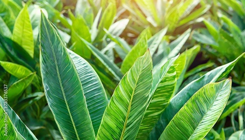 tropical foliage seamless pattern on slight blurred background close up leaves display