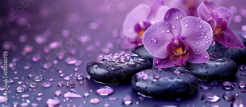 Spa treatment concept. Flowers of orchid and stones. Beautiful background with copy space