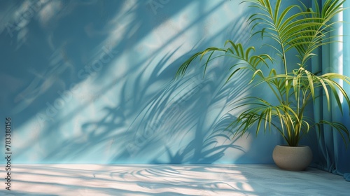 Blue and White Room With White Curtain