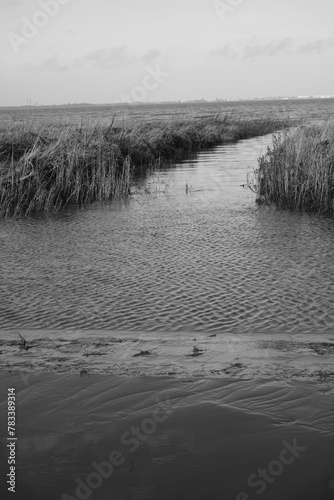 Küsten Landschaft an der Nordsee 