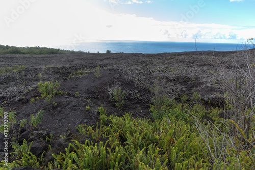 A nice Volcanic Landscape and sea view at La Reunion