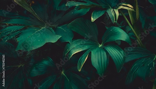 tropical leaves abstract green leaves texture nature background