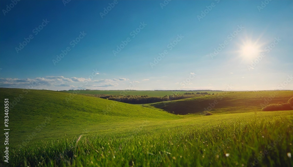 beautiful panoramic natural landscape of a green field with grass against a blue sky with sun spring summer blurred background