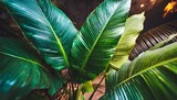 dark green tropical leaves colorful neon light backlight leaves composition plant background manstera palm leaves ai