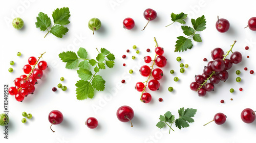 collection of organic natural punch of red and green grpaes and redcurrant fruit isolated on a transparent png background with shadows, for online menu shopping list ready for any background photo