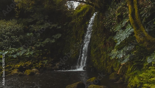 waterfall at parque natural da ribeira dos caldeiroes sao miguel azores portugal photo