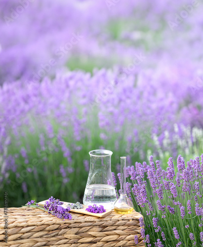 Amber essential lavender oil bottle. Violet lavendar field in Provence.
