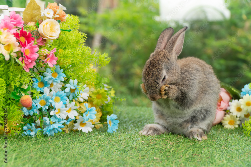 Lovely rabbit ears bunny standing leg paw on green grass with flowers ...