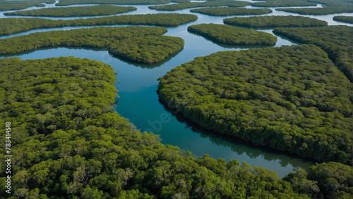 Diverse mangrove forests seen from above, sequestering CO in coastal areas. photo