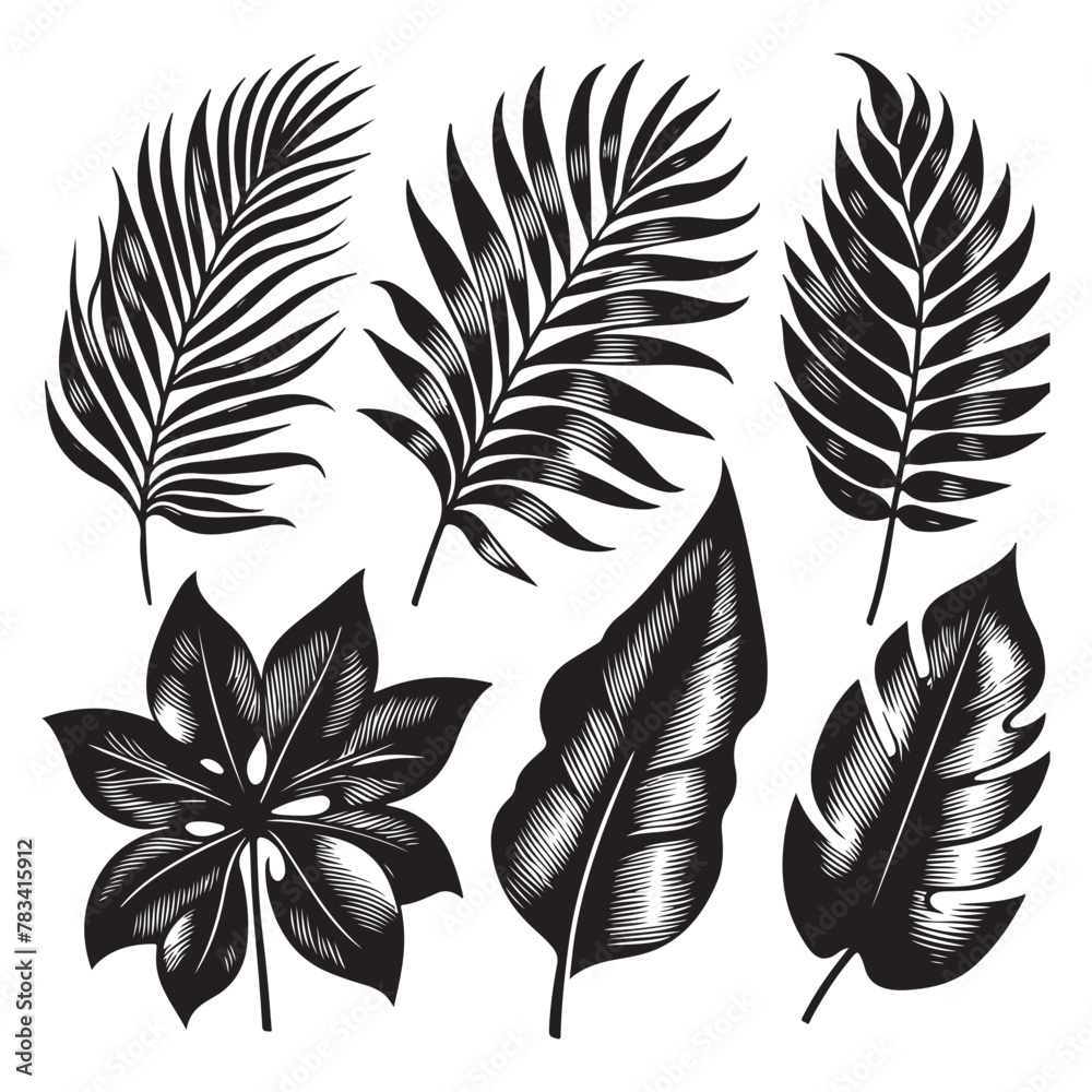 Obraz premium Silhouette set of Tropical leaves