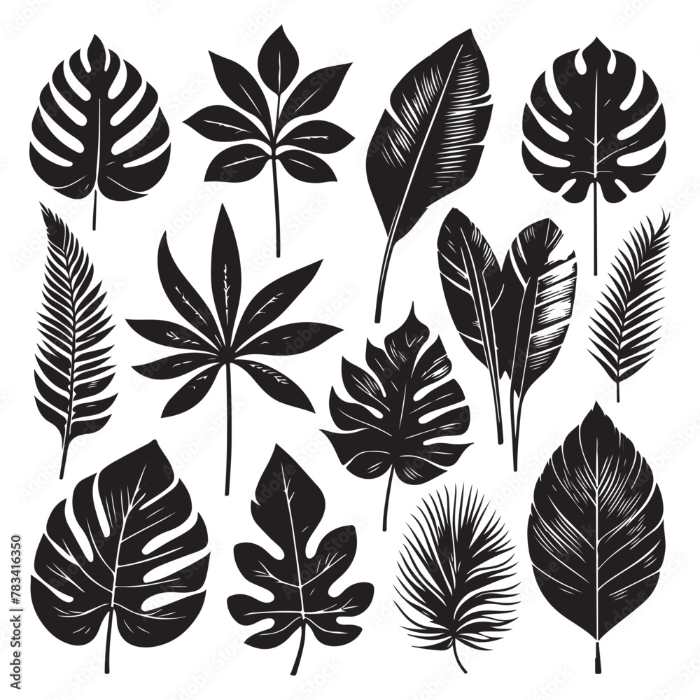 Silhouette set of Tropical leaves Silhouette set of Tropical leaves