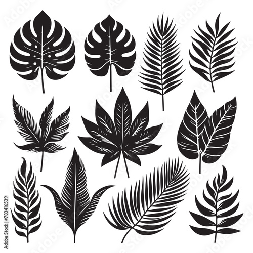 Silhouette set of Tropical leaves