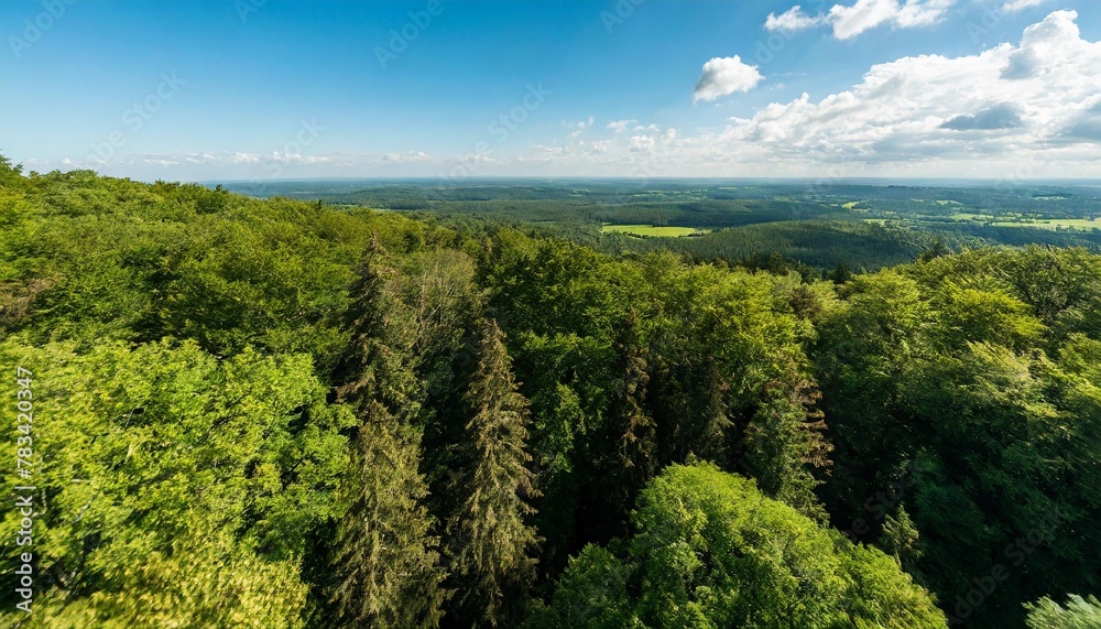 world environment day aerial view of a vibrant green forest with a different tree species showcasing the biodiversity and interconnectedness of ecosystems generative ai