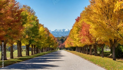 autumn trees lining driveway