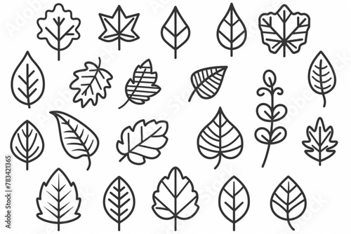 Leaves thin line icon set. Symbol collection in transparent background. Editable vector stroke. 512x512 Pixel Perfect. vector icon, white background, black colour icon