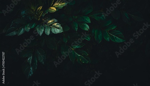 corners with green leaves