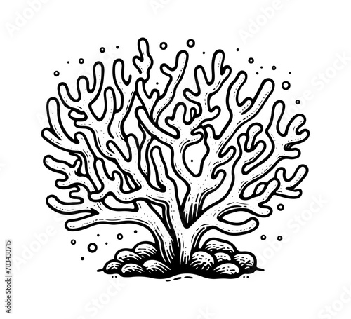 Staghorn coral hand drawn vector illustration