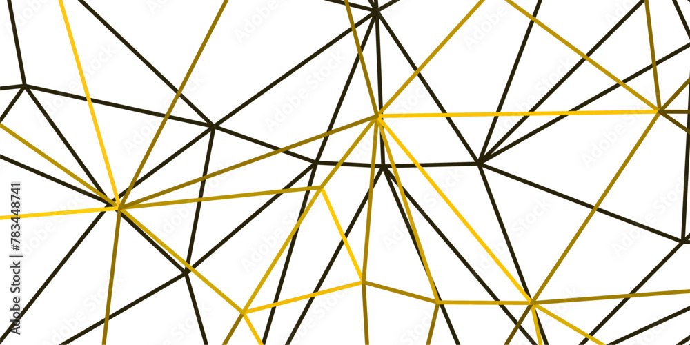 Fototapeta premium abstract elegant geometric background with gold lines triangles
