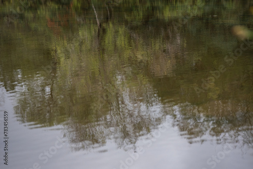 reflection in water