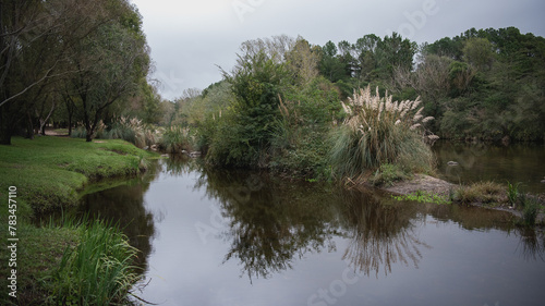 reflection in water