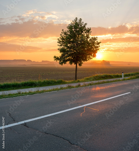 Countryside road leading to sunrise in Slovenia. photo